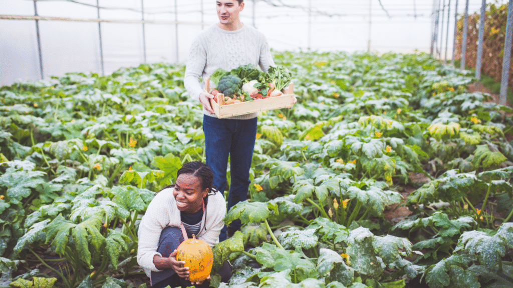 How to Grow Your Food at Home A Simple Guide for Beginners